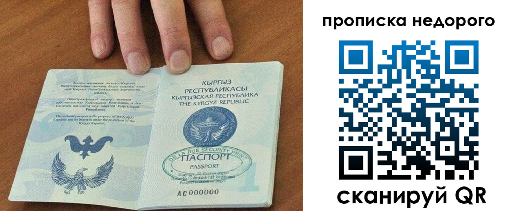 пропишу в квартире в Новозыбкове